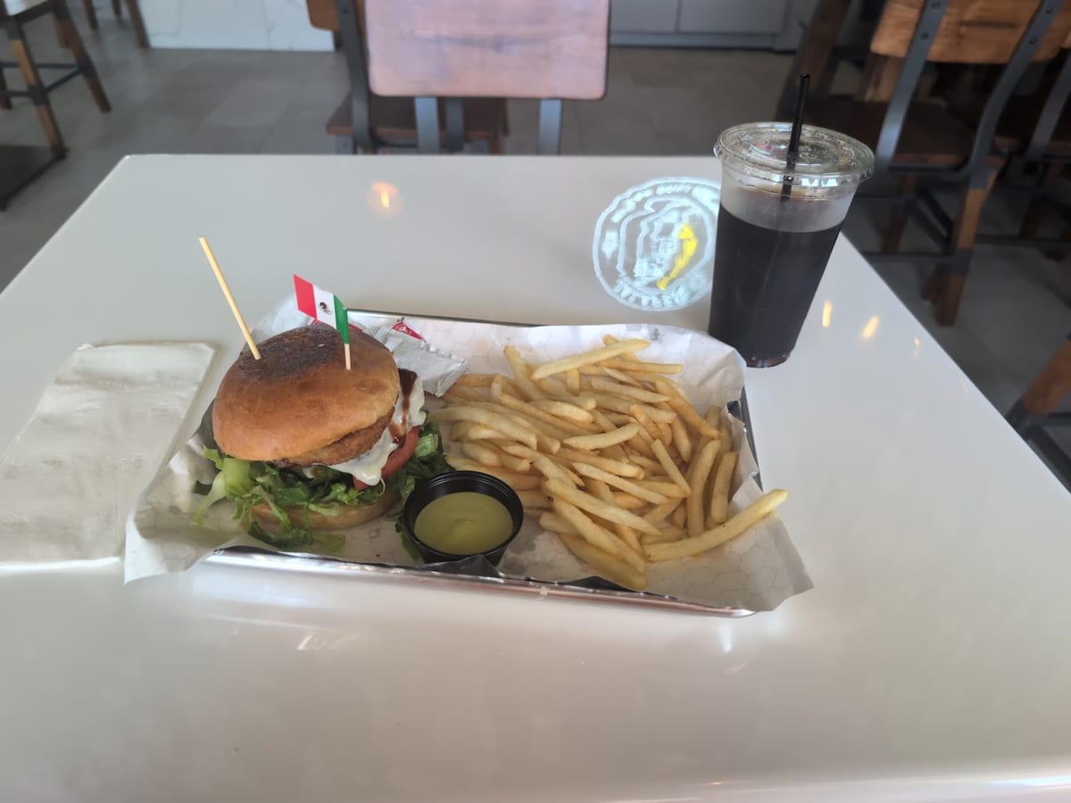 A Mexican burger with fries